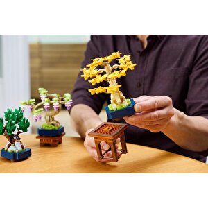 10373  Botanicals Mini Bonsai Ağaçları