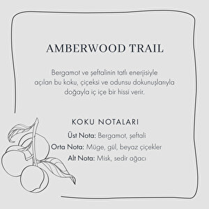 Amberwood Trail Soya Wax Kokulu Mum Sarı (120 Gr) Sarı