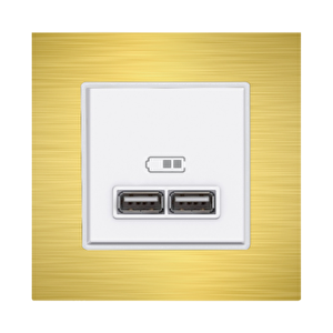 Alg501-21 Asfir Alüminyum Gold Tekli Çerçeve (mekanizma Hariç)