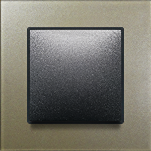 Apg301-71 Asfir Pleksiglas Şampanya Tekli Çerçeve (mekanizma Hariç)