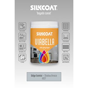 Viabella Yeni Nesil Dönüşüm Boyası –mutfak Banyo Dolap Fayans Mermer Cam Plastik Ahşap Duvar Uyumlu Antrasit Gri