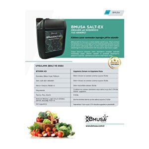 Bmusa Salt-ex Organik Ph Düşürücü 5lt.