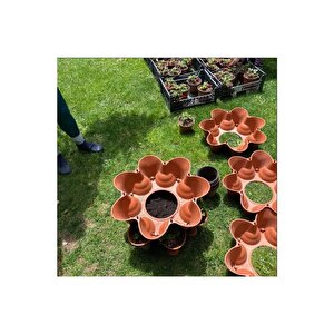 Yediveren - Evde Tarım Katlı Saksı