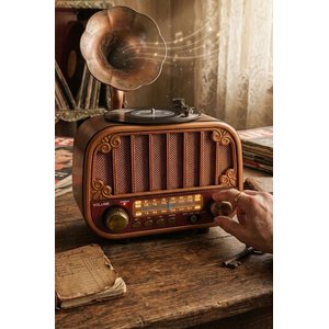 Bluetooh Hoparlör Nostaljik Radyo Aux Usb Tf Destekli Speaker D76 Ahşap