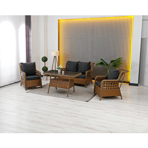 Vi̇lza Rattan Bahçe Mobi̇lyasi