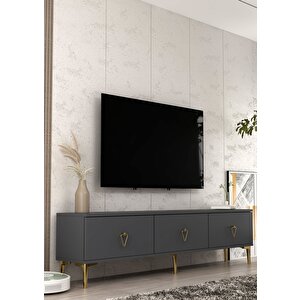 1344tv180-1ct Tv Sehpasi ANTRASİT-ALTIN Antrasit