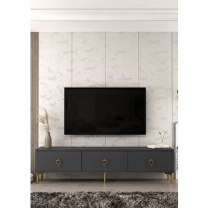 1344tv180-1ct Tv Sehpasi ANTRASİT-ALTIN Antrasit