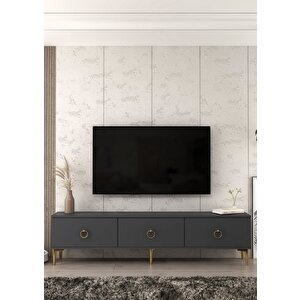 1349tv180-1ct Tv Sehpasi ANTRASİT-ALTIN Antrasit