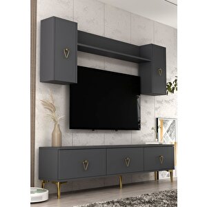 1342tv180-1ct Tv Üni̇tesi̇ , Tv Sehpasi ANTRASİT-ALTIN Antrasit