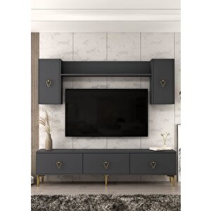 1342tv180-1ct Tv Üni̇tesi̇ , Tv Sehpasi ANTRASİT-ALTIN Antrasit