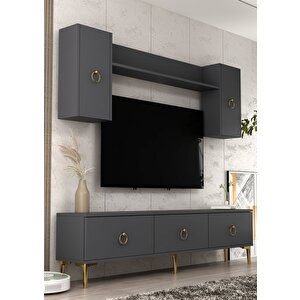 1348tv180-1ct Duvara Montaj Tv Sehpasi,tv Üni̇tesi̇ ANTRASİT-ALTIN Antrasit
