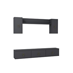 1343tv180-1ct Duvara Montaj Tv Üni̇tesi̇ , Tv Sehpasi ANTRASİT-ALTIN