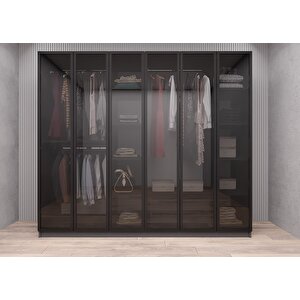 Süper Camlı 6 Kapaklı Gardırop Antrasit G.a.c.s_2_240cm 240 cm