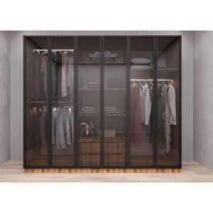 Life Camlı 6 Kapaklı Gardırop Ceviz G.a.c.l_4_210cm 210 cm
