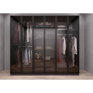 Life Camlı  Altı Kapaklı Gardırop Antrasit G.a.c.l_2_210cm 210 cm