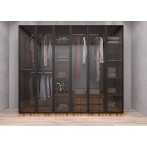 Süper Camlı 6 Kapaklı Gardırop Ceviz G.a.c.s_4_210cm 210 cm
