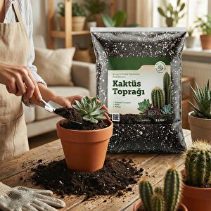 Kaktüs Toprağı (5 Li̇tre) Organik Cocopeat Perlit Pomza Karışımlı Kaktüs Ve Sukulent Toprağı Toprak