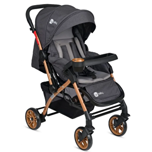 Active Gold Antrasit Çift Yönlü Bebek Arabası Antrasit