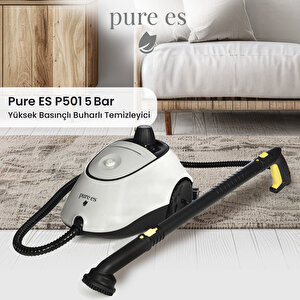 Yüksek Basınçlı Buharlı Temizleyici Gri