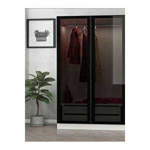 Esla Modüllü 2 Cam Kapaklı Giyinme Dolabı %100 Mdf (kurulum Dahi̇l)