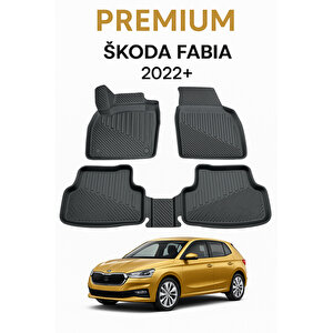 Skoda Fabia 2022+ Uyumlu 3d Oto Paspas Premium