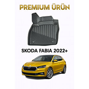 Skoda Fabia 2022+ Uyumlu 3d Oto Paspas Premium