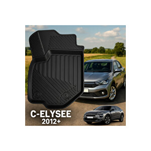 Citroën C-elysee 2012+ 3d Havuzlu Oto Paspas Premium