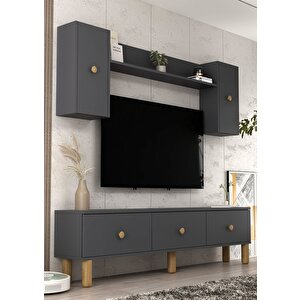 1355tv180-1ct Tv Sehpasi,tv Üni̇tesi̇ ANTRASİT-SAFİRMEŞE Antrasit-Safirmeşe