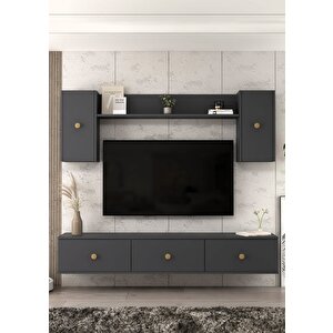 1356tv180-1ct Duvara Montaj Tv Sehpasi, Tv Üni̇tesi̇ ANTRASİT-SAFİRMEŞE Antrasit-Safirmeşe