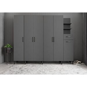 Harika Eko Altı Kapaklı Portmanto Antrasit P.a.h.e_2_270cm 270 cm