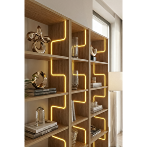 Labi̇rent Ledli̇ Açik Ki̇taplik, Meşe Meşe