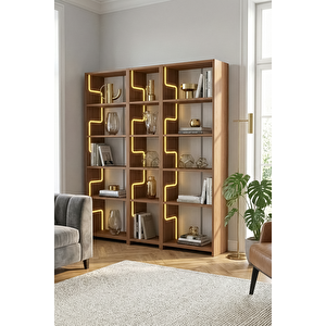 Labi̇rent Ledli̇ Geni̇ş Açik Ki̇taplik, Mati̇sse