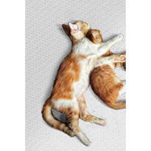 Nova Vl Makinada Yıkanabilir Dayanıklı Kaymaz Taban Antialerjik Halı Beyaz 150x150 cm