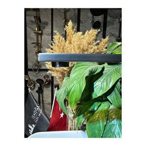 Antrasit Gri Mutfak Bataryası Kare Tasarım Venom Antrasit Evye Armatür