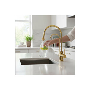Gold Arıtmalı Mutfak Bataryası Arıtıcılı Evye Armatür Modern Tasarım Özel Üretim Armatür