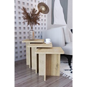 Ti̇ Def Iskandinav Tarzı Yan Sehpa Seti - Modern Tasarım - 3'lü Zigon