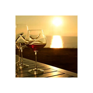 Chaos Kristal Beyaz Şarap Kadehi 350 Cc