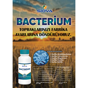 Siova Bacterium Mikrobiyal Gübre 1lt
