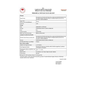 Bmusa Steel Max 5 Lt Mikrobiyal Gübre