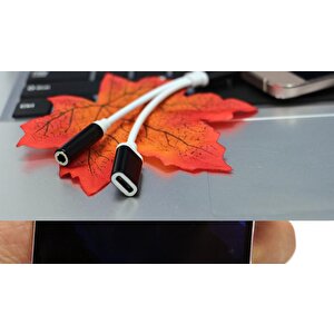 4418 Type C To 3.5mm Stereo Kulaklık Şarj Çevirici Dönüştürücü Adaptör