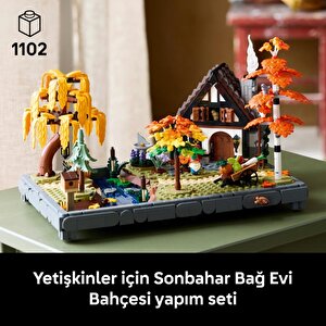 Lego 11372  Icons Sonbahar Bağ Evi Bahçesi