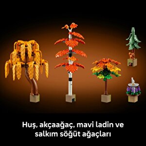Lego 11372  Icons Sonbahar Bağ Evi Bahçesi