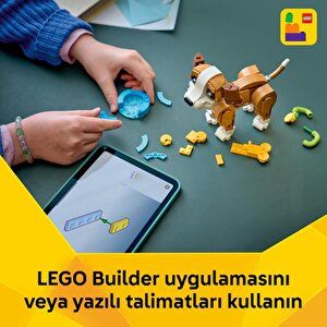 Lego 31382 Creator 3’ü 1 Arada Sevimli Hayvanlar: Oyunbaz Yavru Köpek