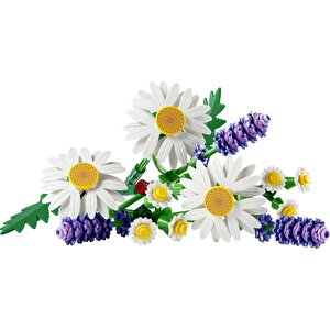 11508  Botanicals Papatyalar
