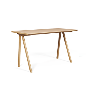 Bike Linoleum Çalışma Masası Somon