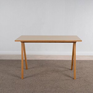 Bike Linoleum Çalışma Masası Vizon