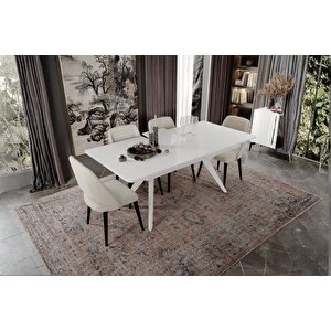 Tins Yemek Odası Takımı