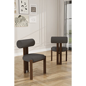 Alessa Pufi Demonte Metal Mutfak Sandalyesi Yemek Odası Sandalyesi Makyaj Sandalyesi Antrasit