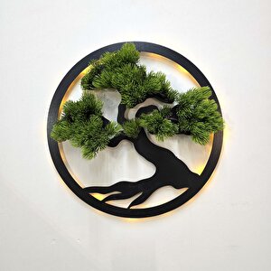 Led Işıklı Ve Yeşil Bonsai Ağaç Tablo 40cm - Siyah