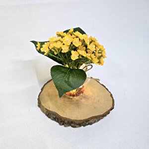 Sarı Mini Ortanca Çiçekli, Led Işıklı Dekoratif Vazo